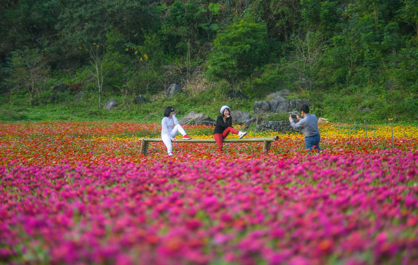 Bên[-]trong[-]thung[-]lũng[-]hoa[-]lớn[-]nhất[-]Việt[-]Nam
